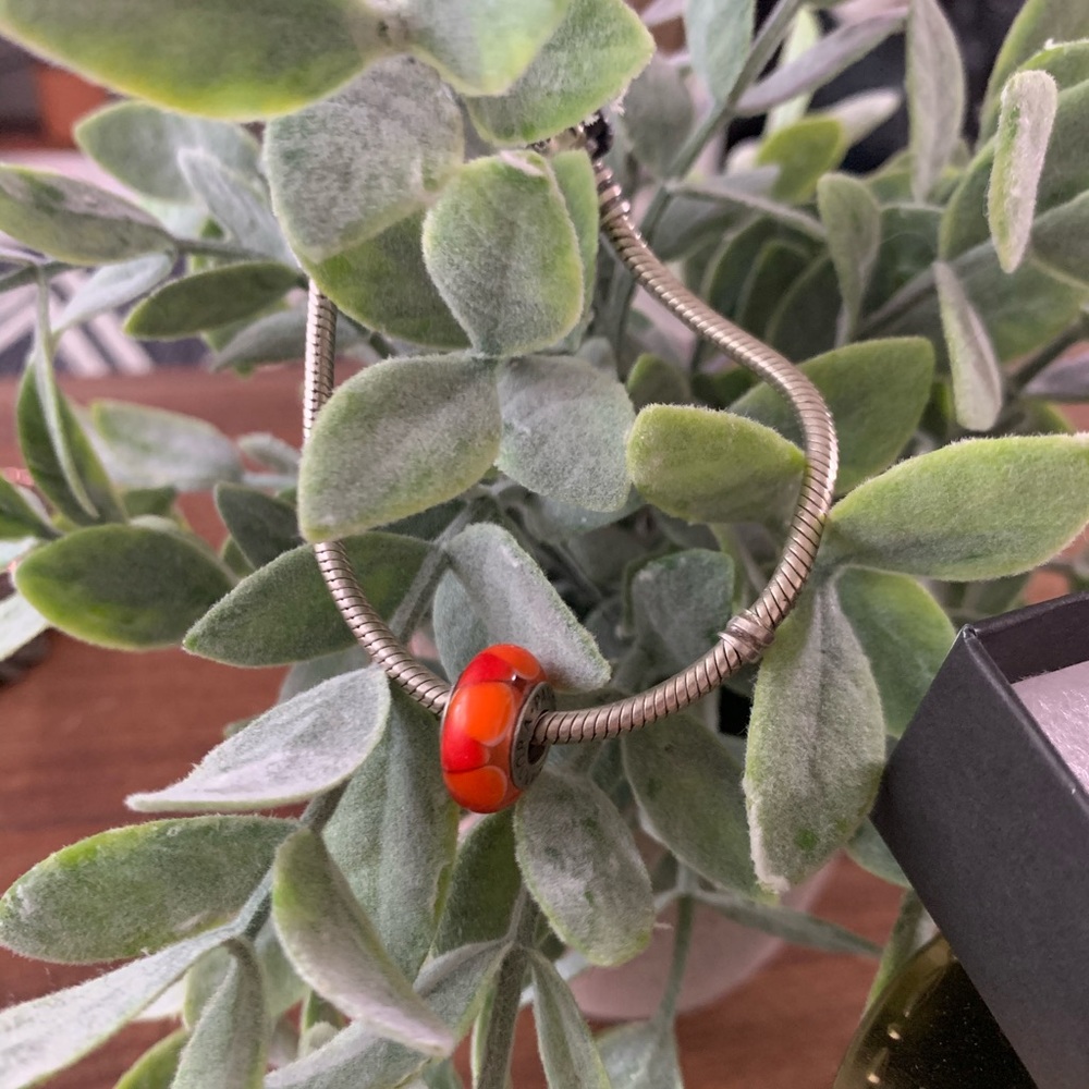 Glass pandora bead